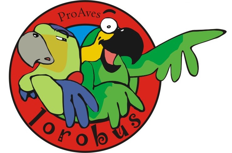 Logo_Lorobus