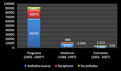 Esfuerzo de muestreo de capturas 2003-2009 y número de individuos de especies por categorías registrados por años.