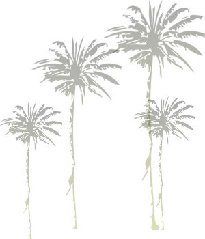 palmas